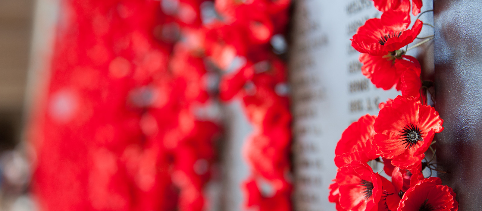 Banner image for Remembrance Day