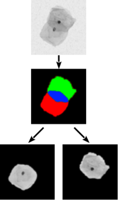 Figure showing example separation of overlapping cells.