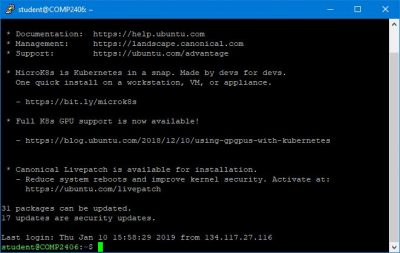 Putty SSH screen