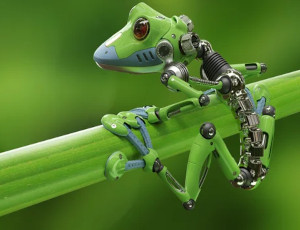 AI Frog