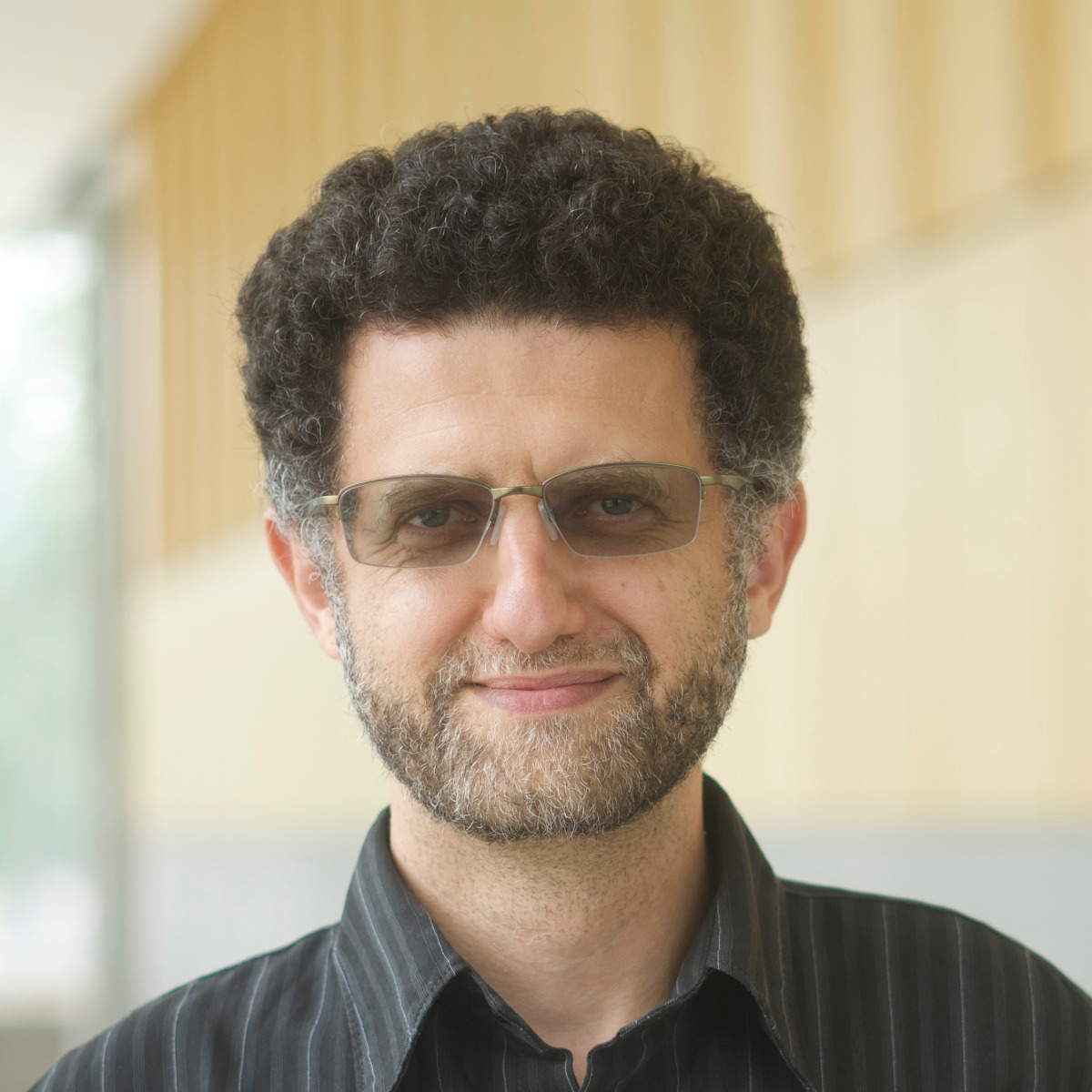 Zinovi Rabinovich
