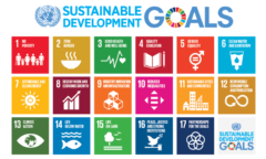 Image of the United Nations' Sustainable Development Goals. 