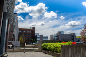 Many campus buildings as seen from a pathway lined with bushes