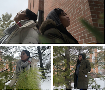 Collage: Sonya and Makua stand back to back looking thoughtful. Below are individual pictures of each standing under trees in the snow.