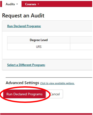 screenprint of part of the myAudit webpage with a red circle around the Run Declared Programs button.