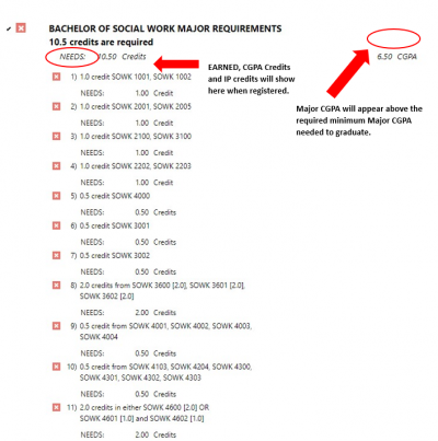 screenshot of the major requirements section of the audit