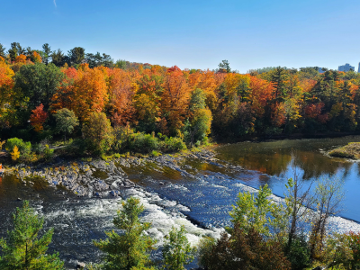 Rideau River in Fall