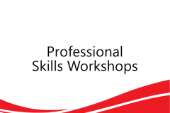 Professional Skills Workshops