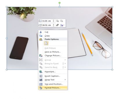 A screenshot of the menu that pops up when you right-click an image