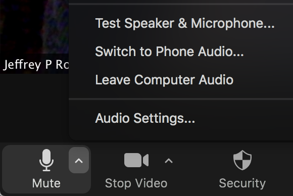 Zoom Test Mic