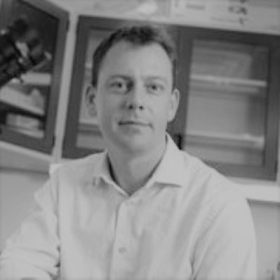 John Stead headshot