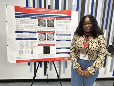 sapp showcase poster