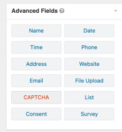 A section of a forms page, illustrating that the CAPTCHA field appears under advanced fields