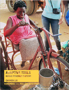 Image and Link to Adaptive Tools, Final Report
