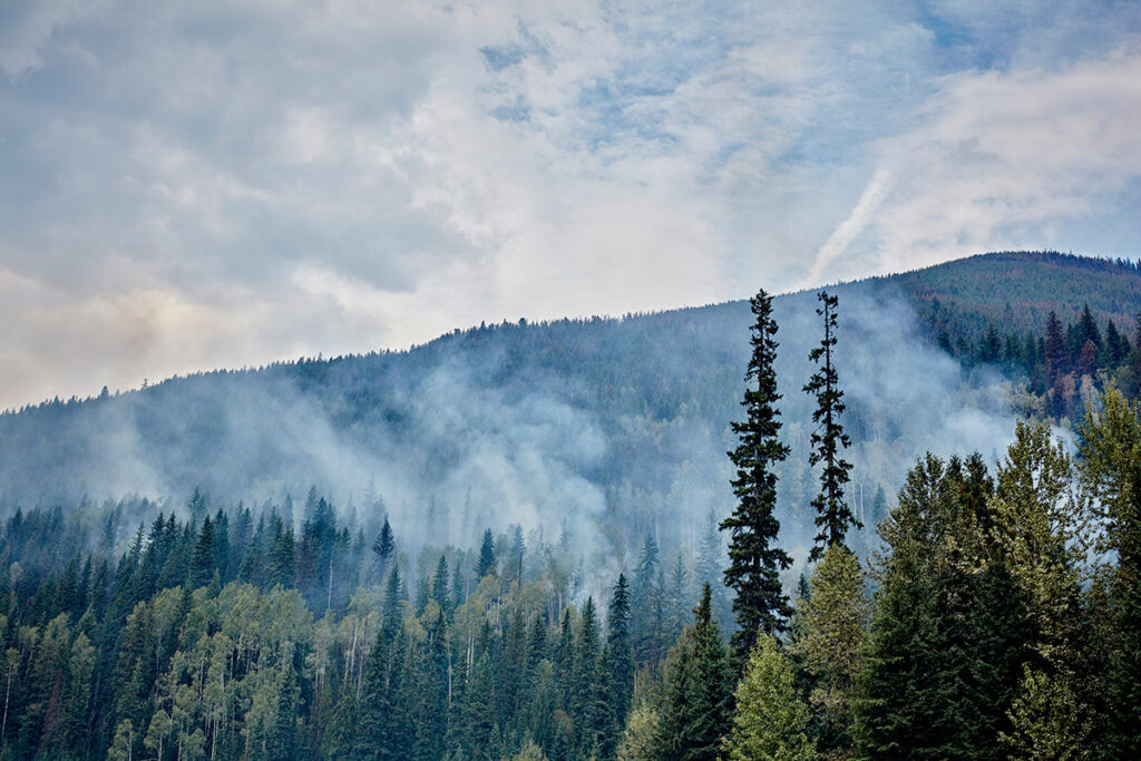 Wide shot of a forest with a mountain in the backdrop. Smoke billowing up from the ground.